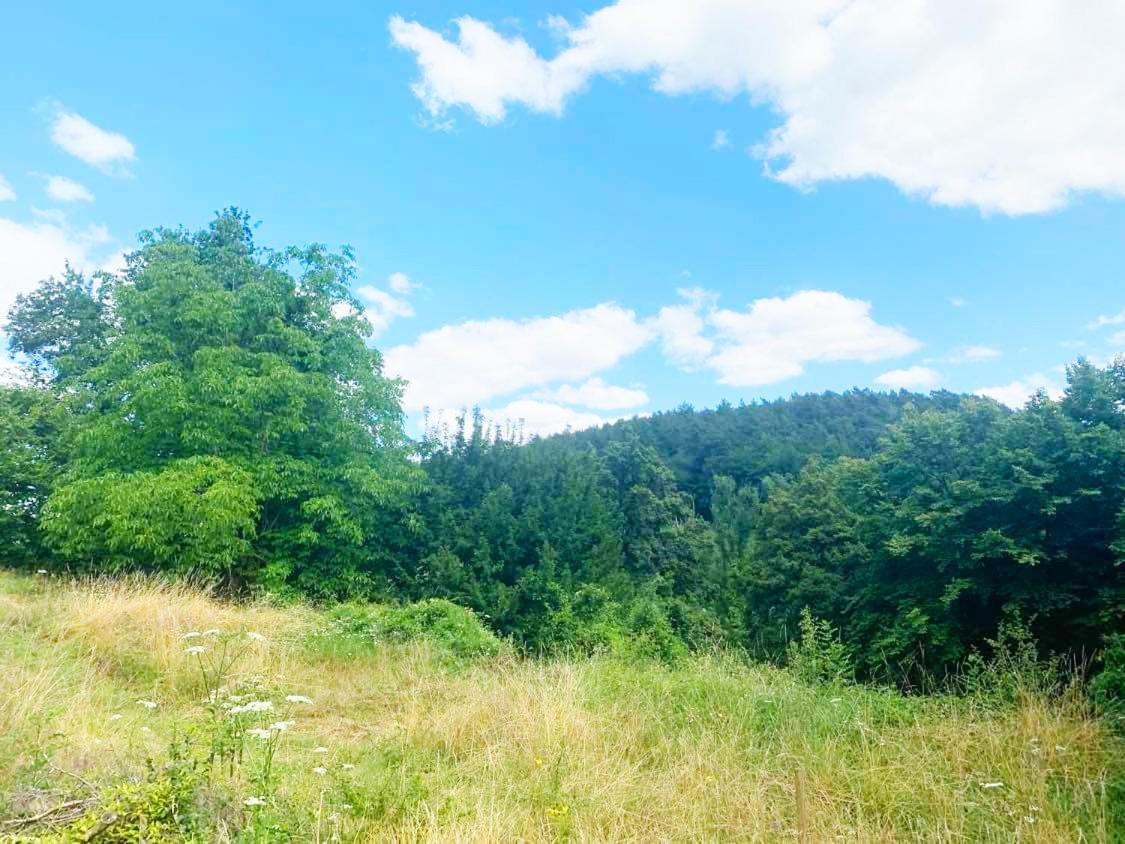 Gite Bella-K, Logement Privatif En Campagne A Gesves Buitenkant foto